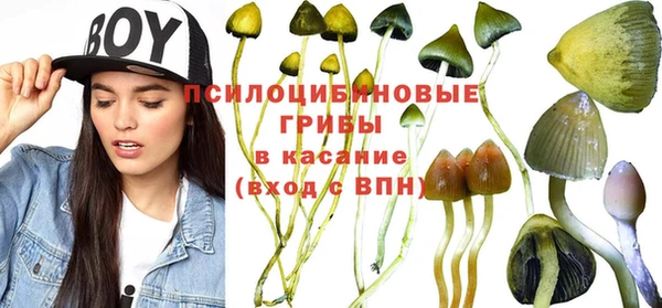 бутират Вяземский